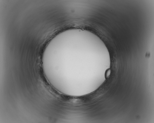 X0000111630748200907171128