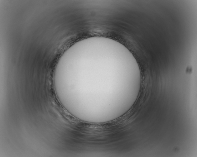 X0000111630749200907171128