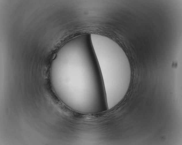 X0000111630750200907171128