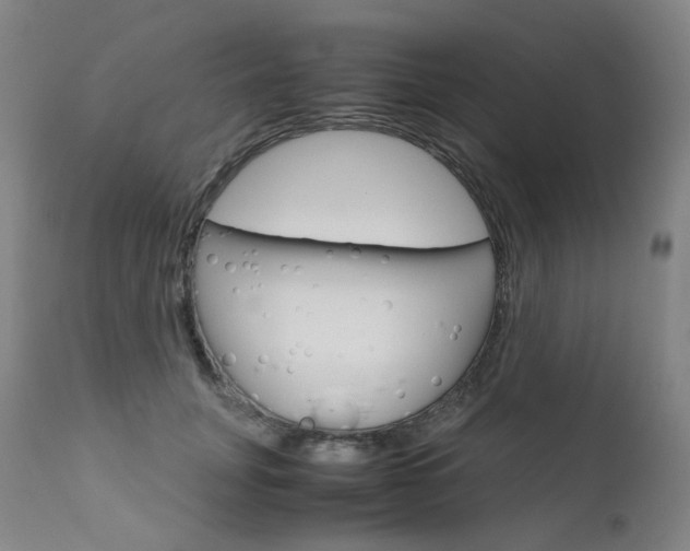 X0000111630751200907171128