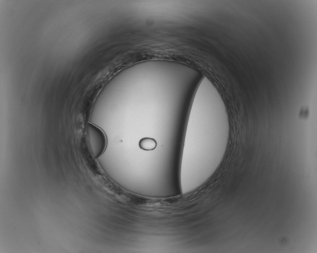 X0000111630752200907171128