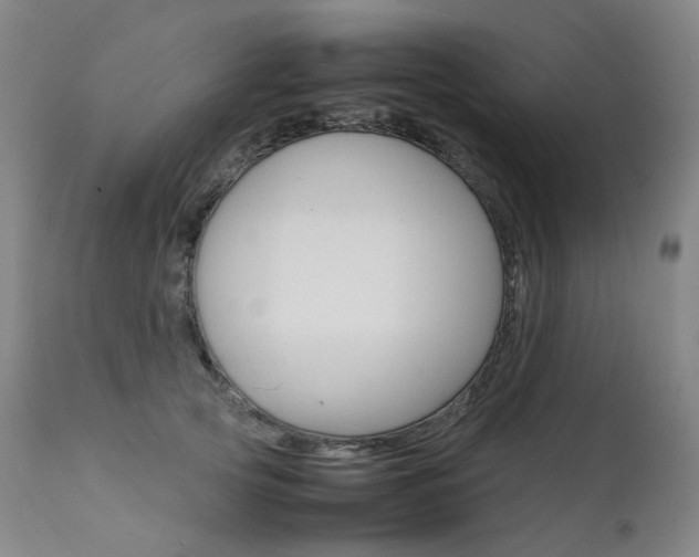 X0000111630753200907171128