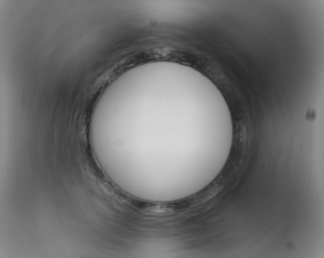 X0000111630754200907171128