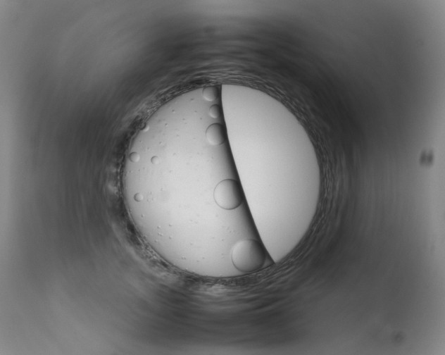 X0000111630755200907171128
