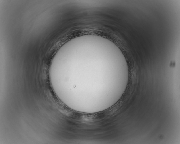 X0000111630757200907171128