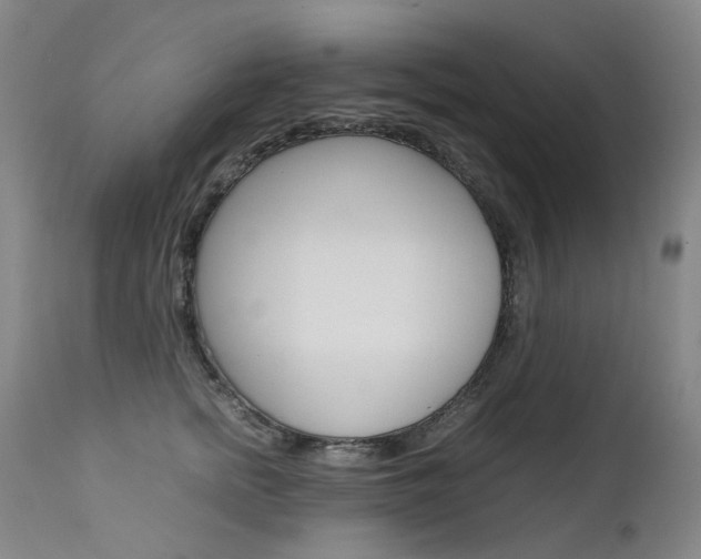 X0000111630758200907171128