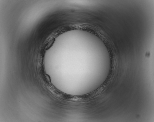 X0000111630760200907171128