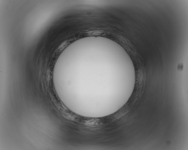 X0000111630761200907171128