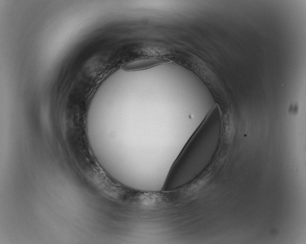 X0000111630762200907171128