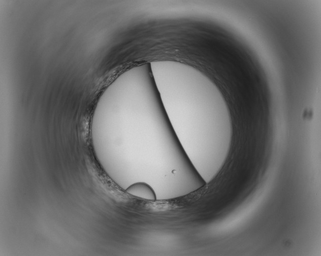X0000111630767200907171128