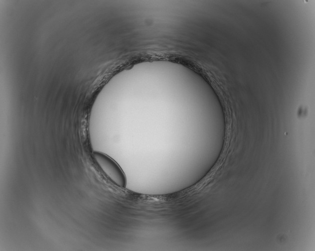 X0000111630768200907171128