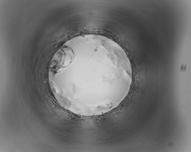 X0000111630769200907171128