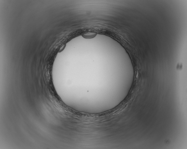 X0000111630771200907171128
