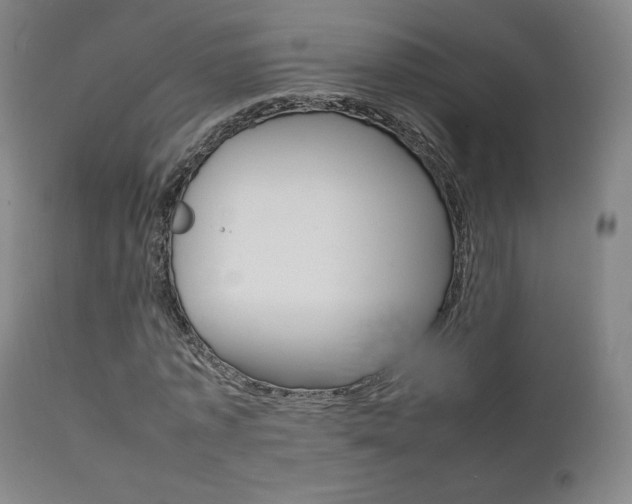 X0000111630773200907171128