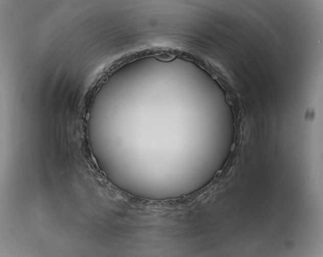 X0000111630776200907171128