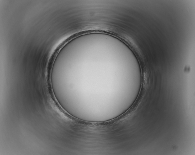 X0000111630780200907171128