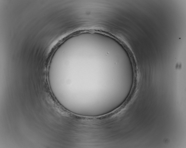 X0000111630781200907171128