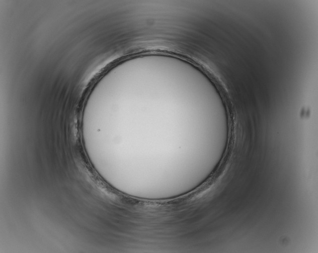 X0000111630782200907171128