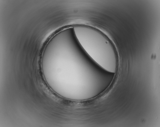 X0000111630783200907171128