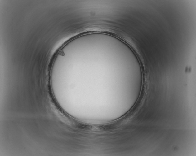 X0000111630787200907171127