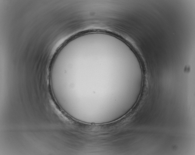 X0000111630791200907171127