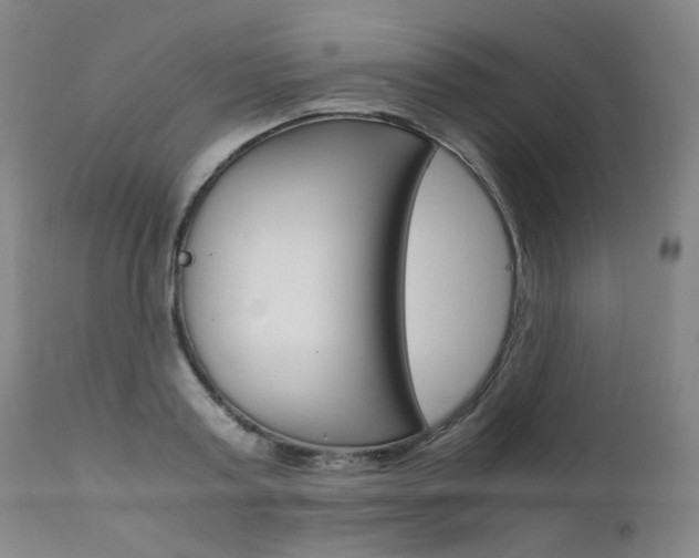 X0000111630795200907171127