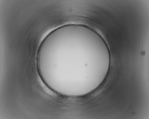 X0000111630803200907171127