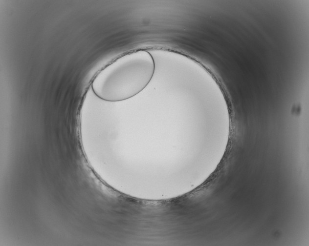 X0000111630807200907171127