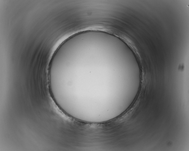 X0000111630808200907171127