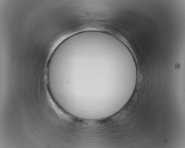 X0000111630811200907171127