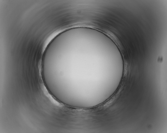 X0000111630812200907171127