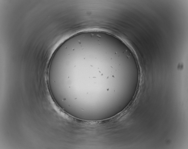 X0000111630813200907171127