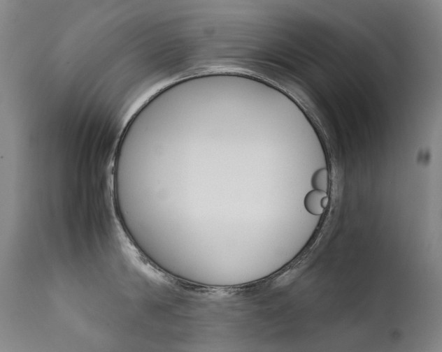 X0000111630814200907171127