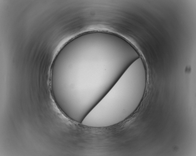 X0000111630815200907171127