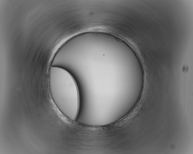 X0000111630816200907171127