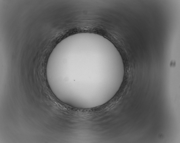 X0000111630817200907171126