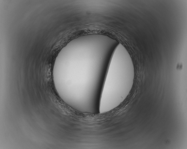 X0000111630818200907171126