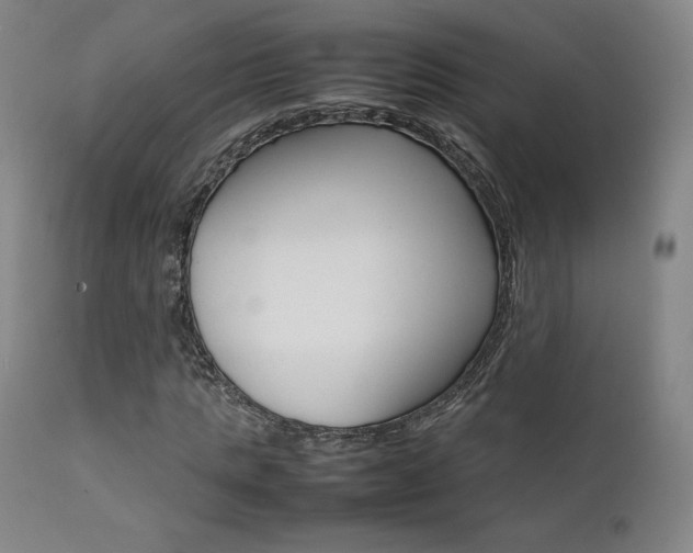 X0000111630821200907171126