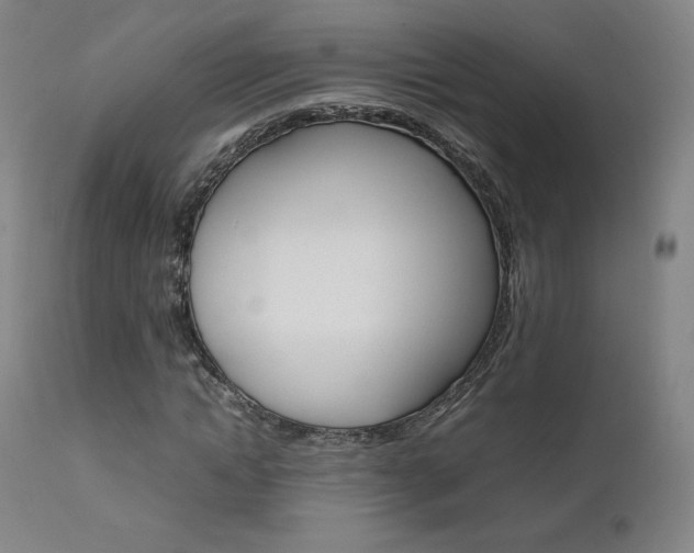 X0000111630822200907171126