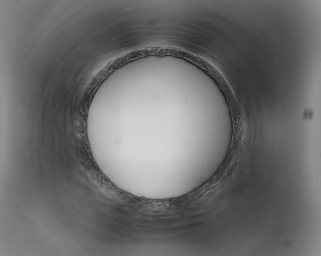 X0000111630823200907171126