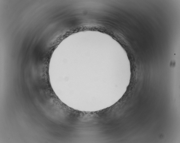 X0000111630824200907171126