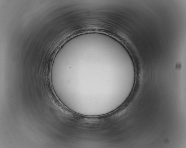 X0000111630825200907171126