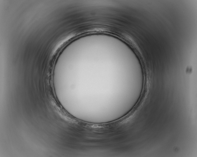 X0000111630827200907171126