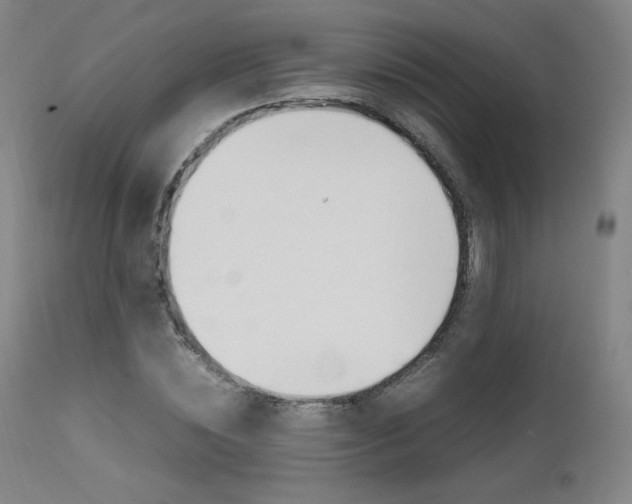 X0000111630828200907171126