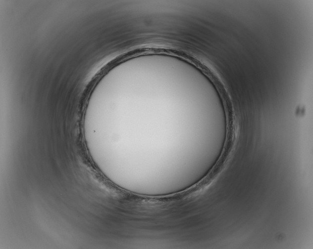 X0000111630829200907171126
