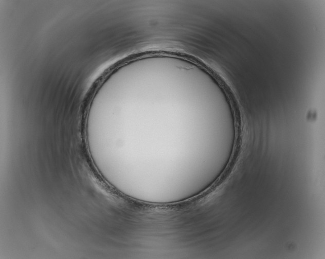 X0000111630830200907171126