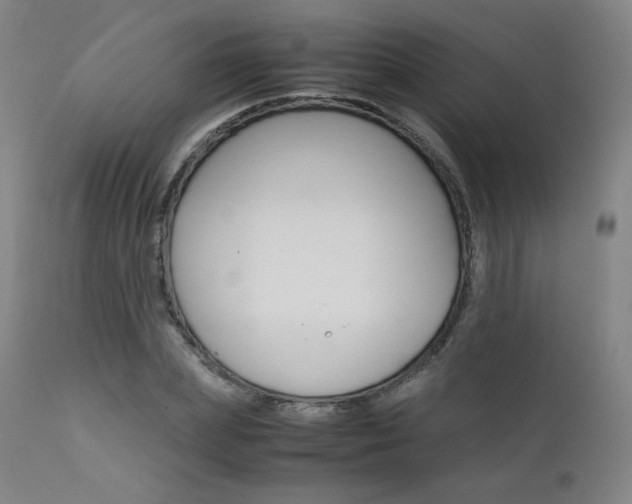 X0000111630831200907171126