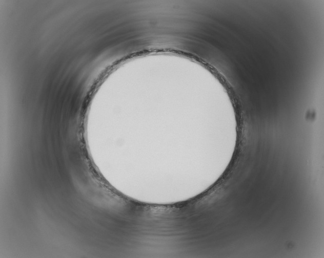 X0000111630832200907171126