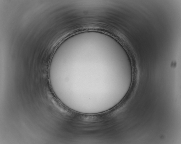 X0000111630833200907171126