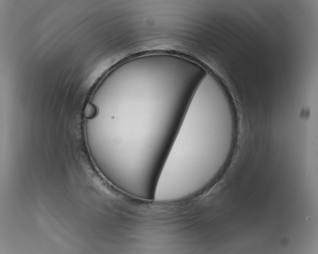 X0000111630834200907171126